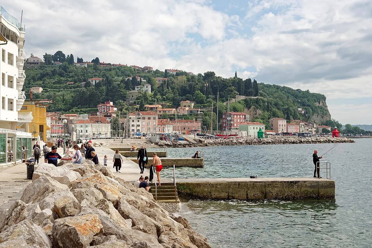 Piran Restaurants: Where to Eat Seafood and Istrian Dishes