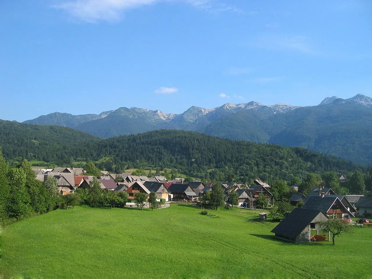 Bohinj Cheese: Mohant, Bohinjski Sir, and the Alpine Dairies