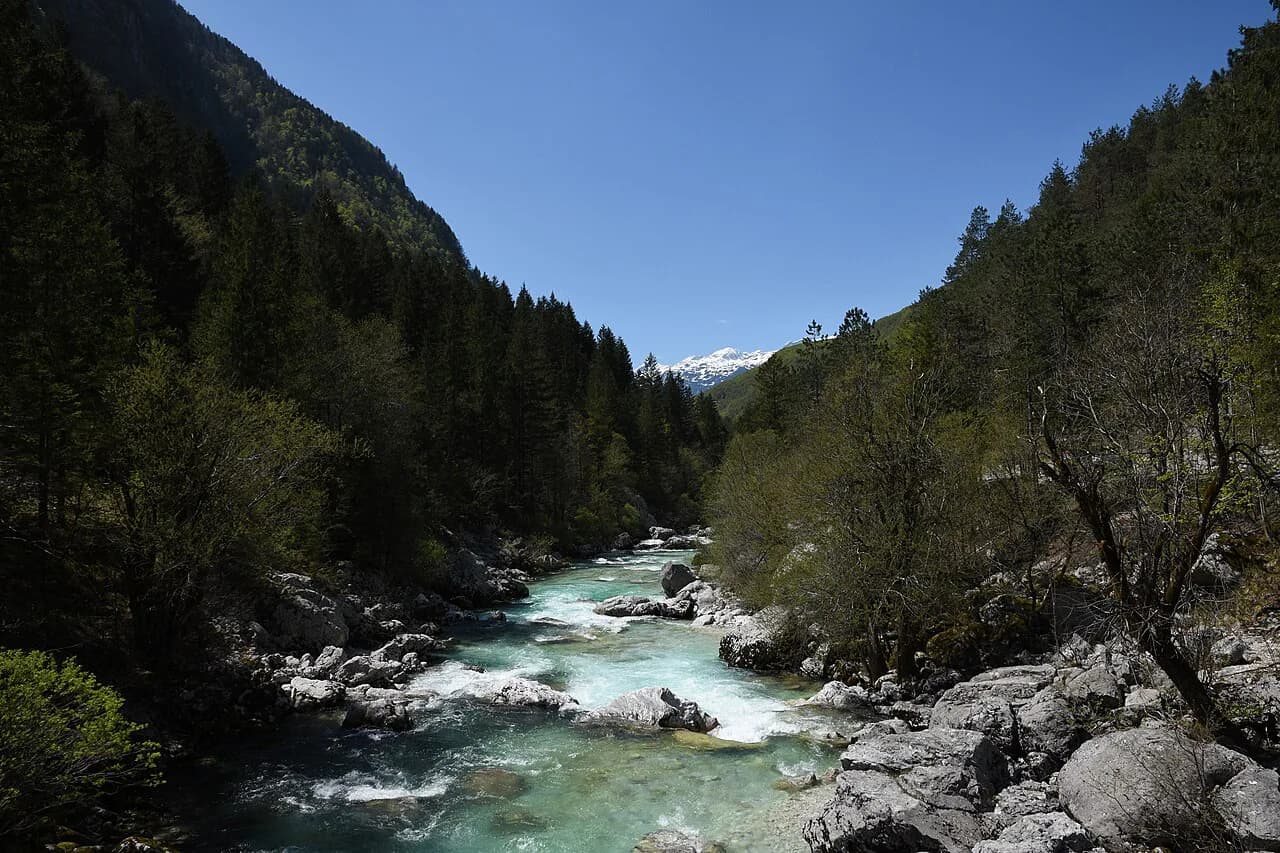 Bovec Cheese: What It Is and Where to Taste It in the Soča Valley