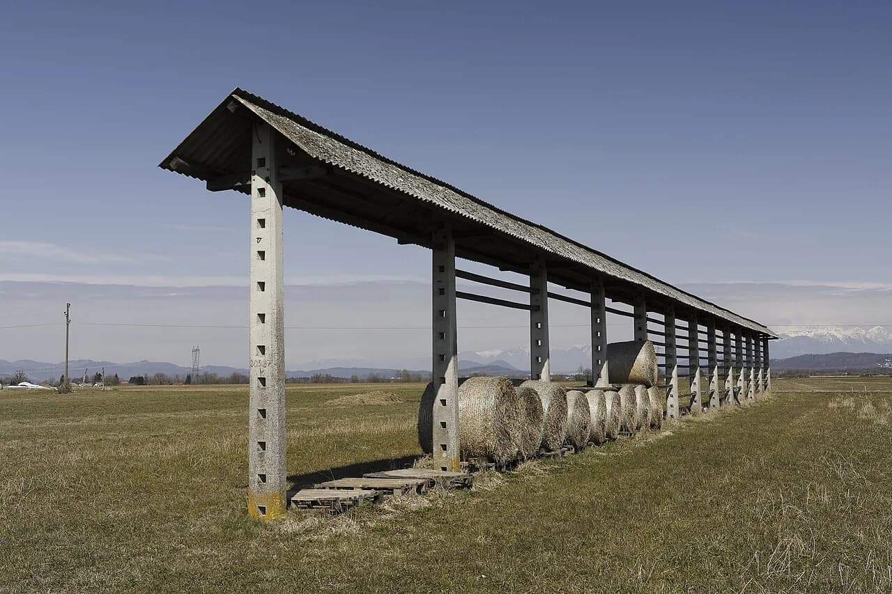 Kozolec: Slovenia's Hayrack Explained and Where to See One