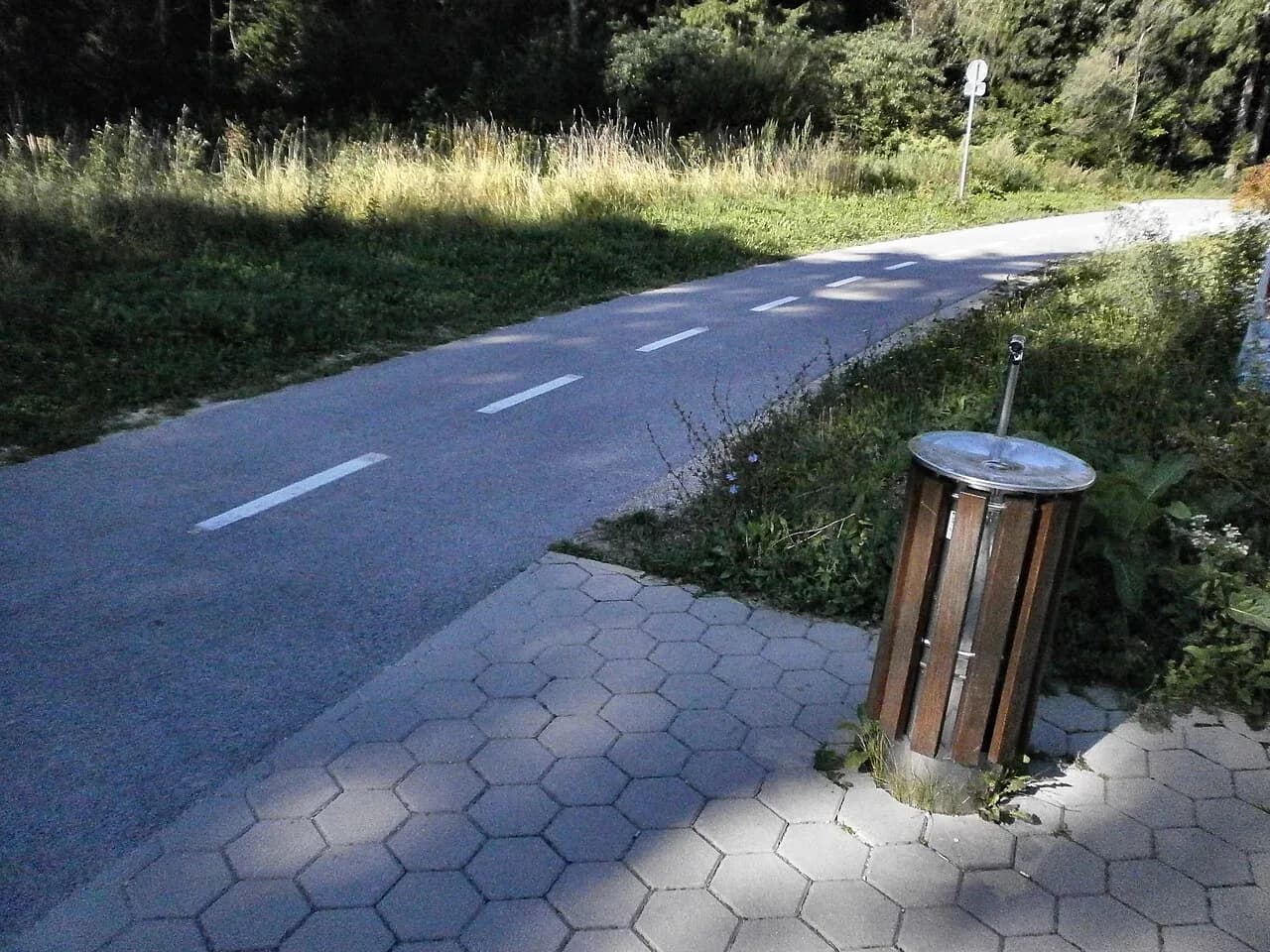 Kranjska Gora Cycling: Routes, Bike Park and What Each Ride Needs