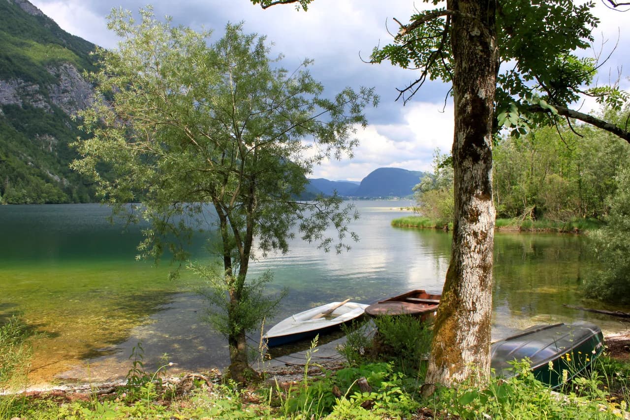 Swimming in Lake Bohinj: Bays, Water Temperature and Tips