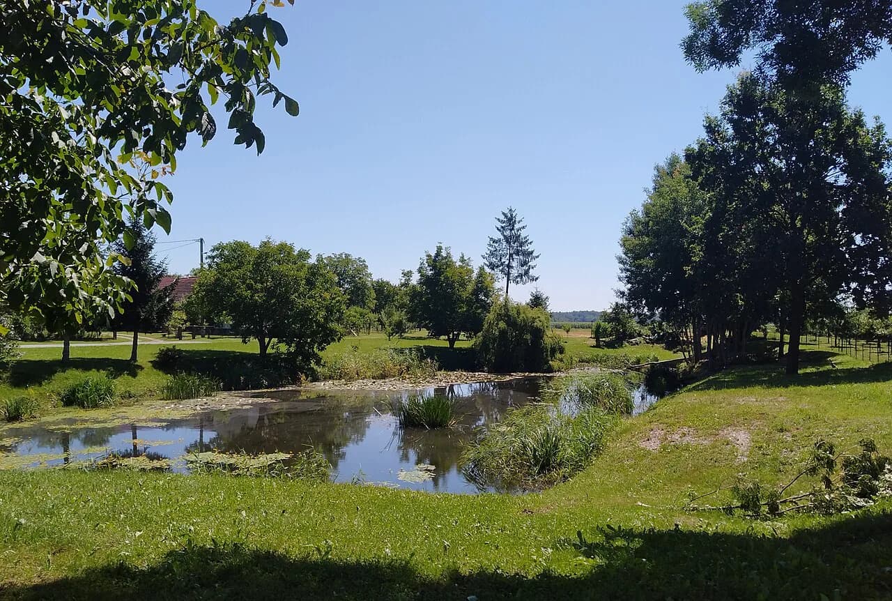Moravske Toplice: What to See Beyond the Thermal Pools
