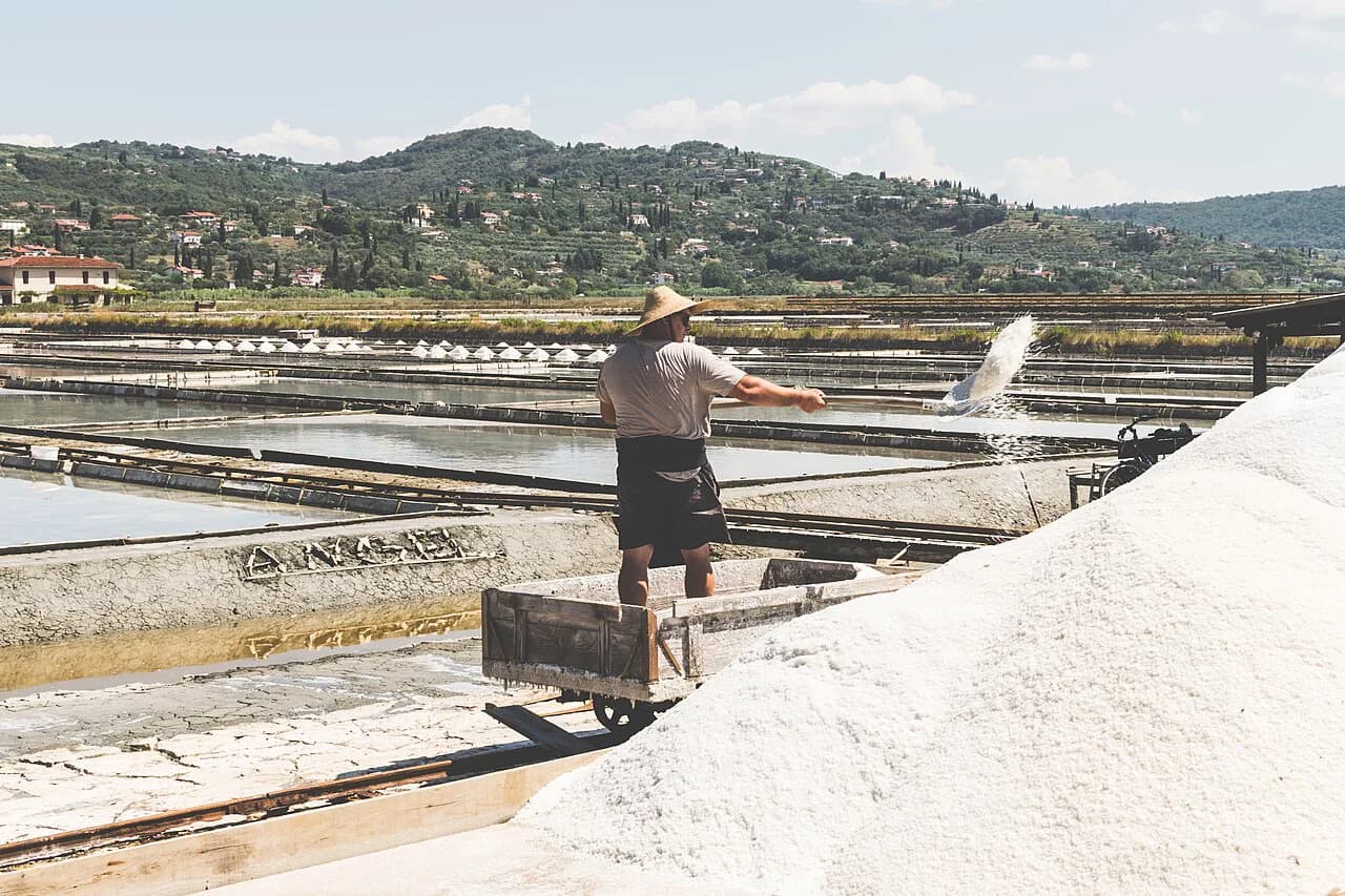 Piran Salt: The Sečovlje Salt Pans, the Museum, and What to Buy