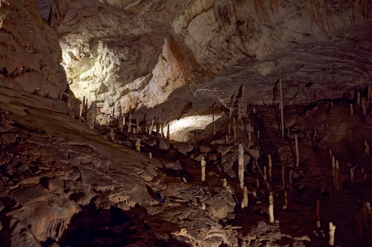 Postojna Cave Tickets: Which Ticket to Buy and How to Book