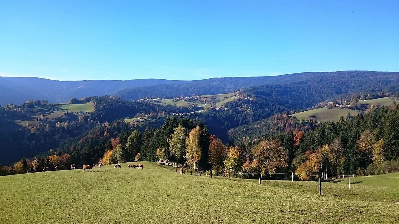 Rogla, Slovenia: What to Do on the Pohorje Plateau