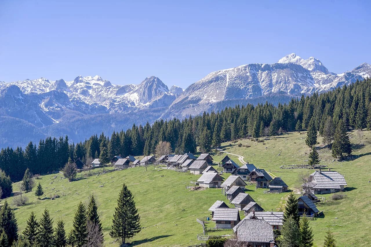 Slovenia Forests: Where the Woods Are and How to Visit Them