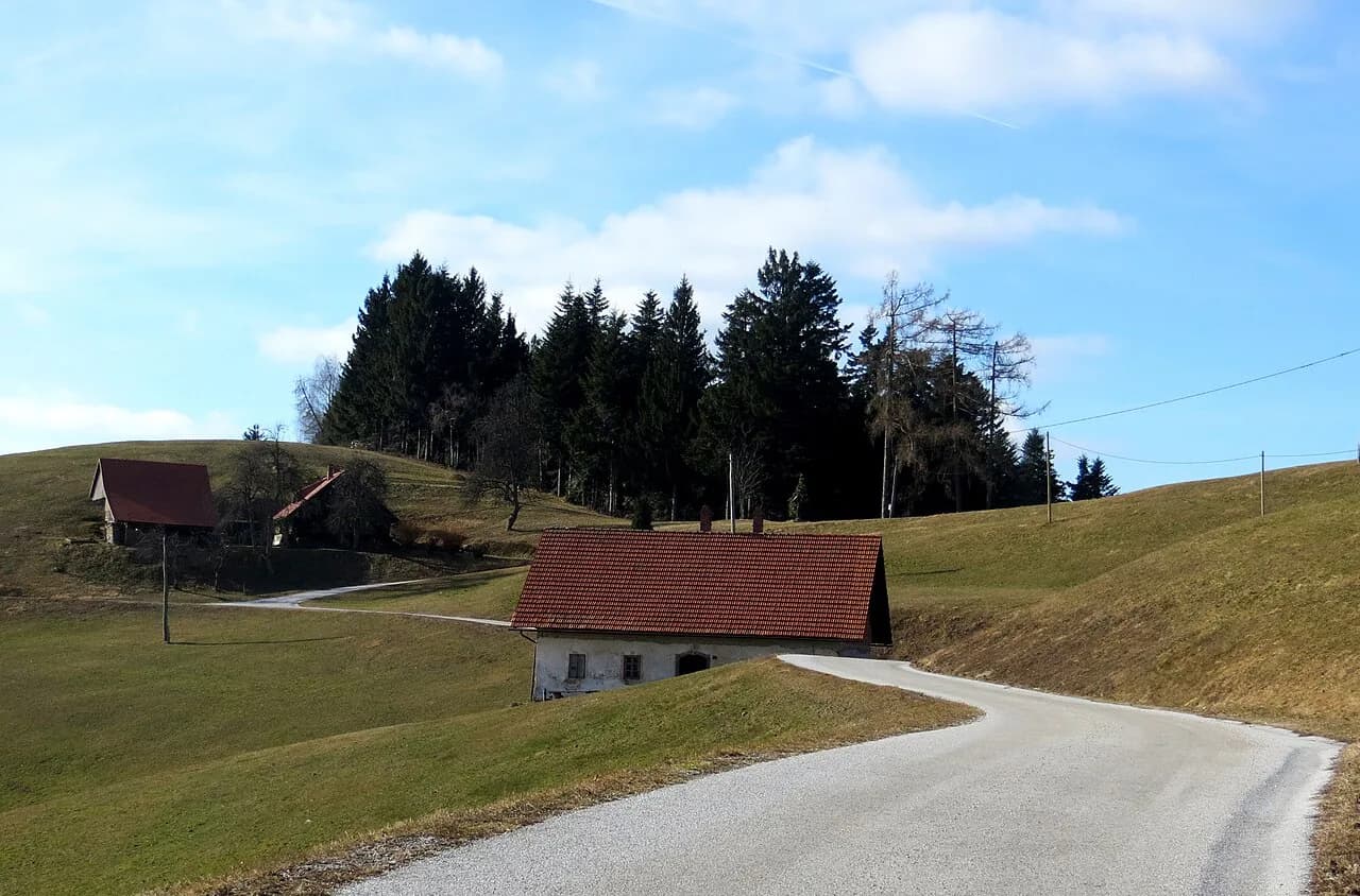 Slovenian Cheese: Bohinjski Sir, Tolminc, Bovški Sir and Trnič