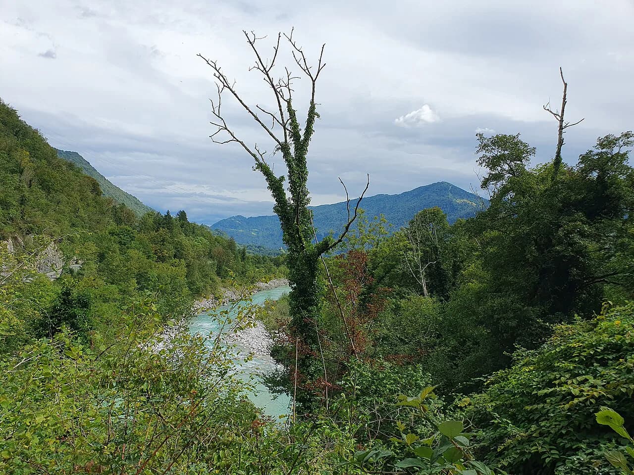 Soča River: Where to See the Emerald Water and How to Plan Around It