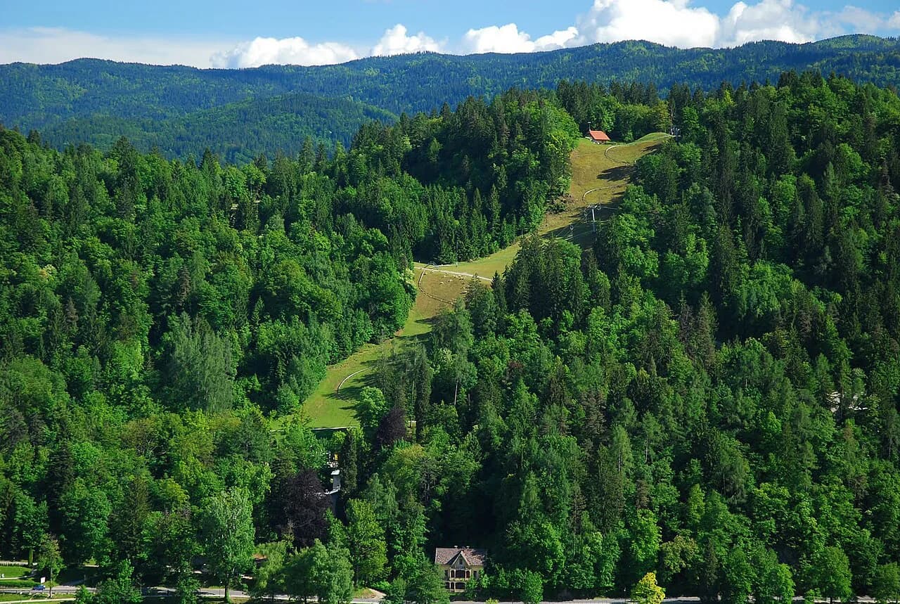 Straža Bled: Hill, Chairlift and Summer Toboggan Guide