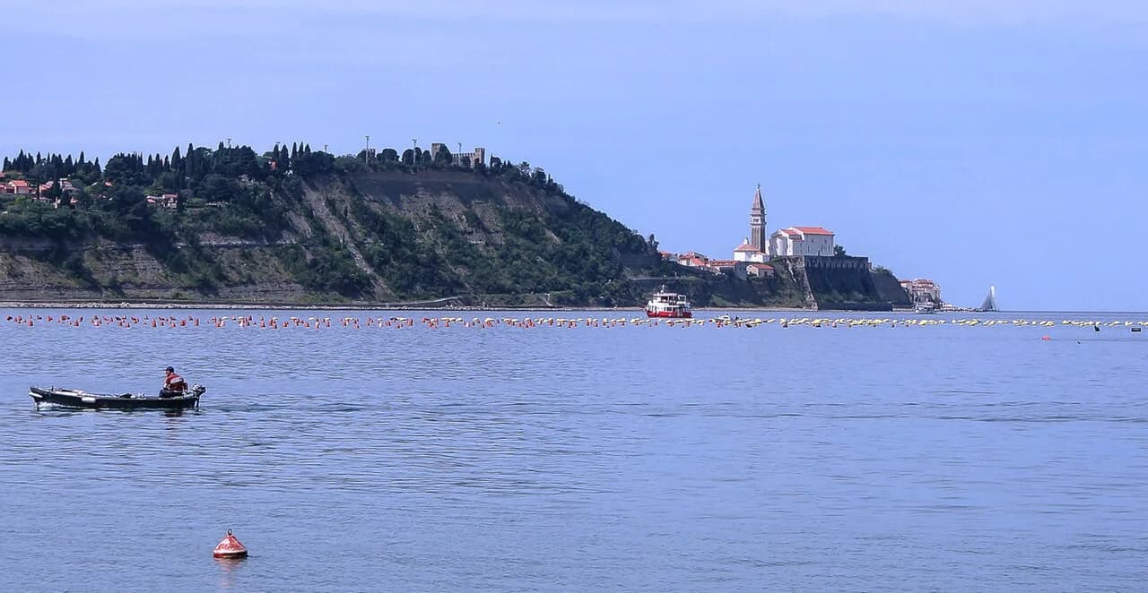Strunjan: Cliffs, Salt Pans and the Valley Walk