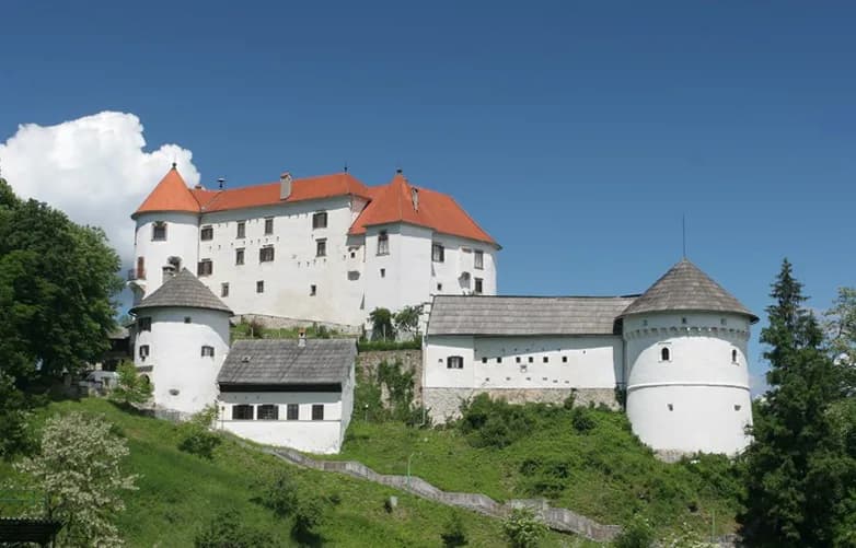 Velenje Castle: What to See Inside the Museum