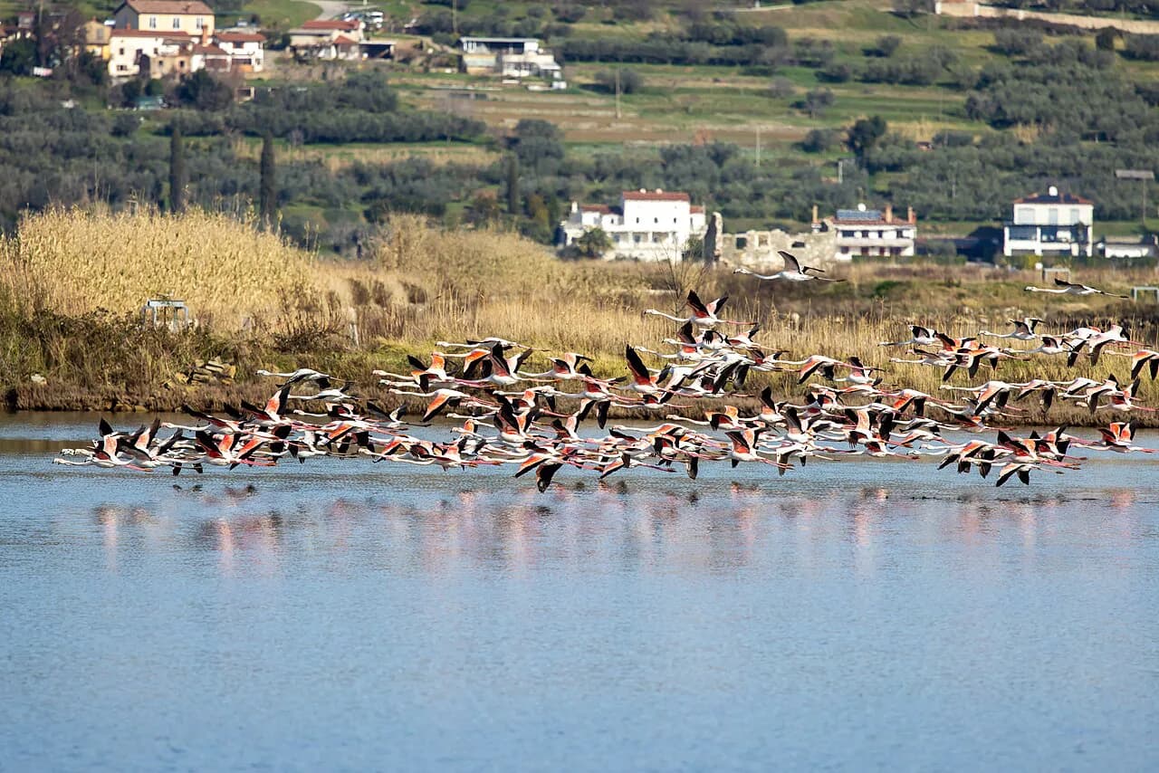 Sečovlje Salina Nature Park: Lera, Fontanigge and the Saltworks Museum
