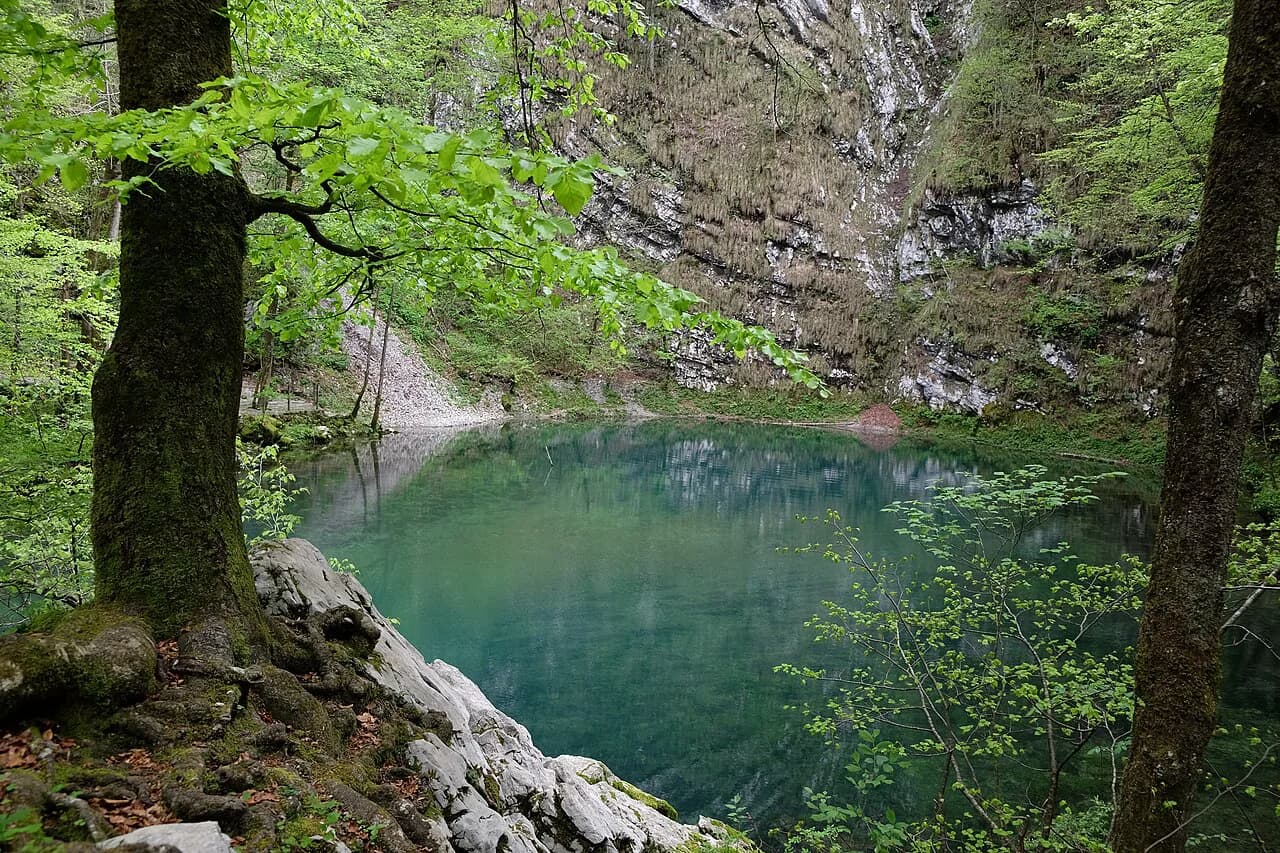 Divje jezero (Wild Lake) Near Idrija: What to Know Before You Go