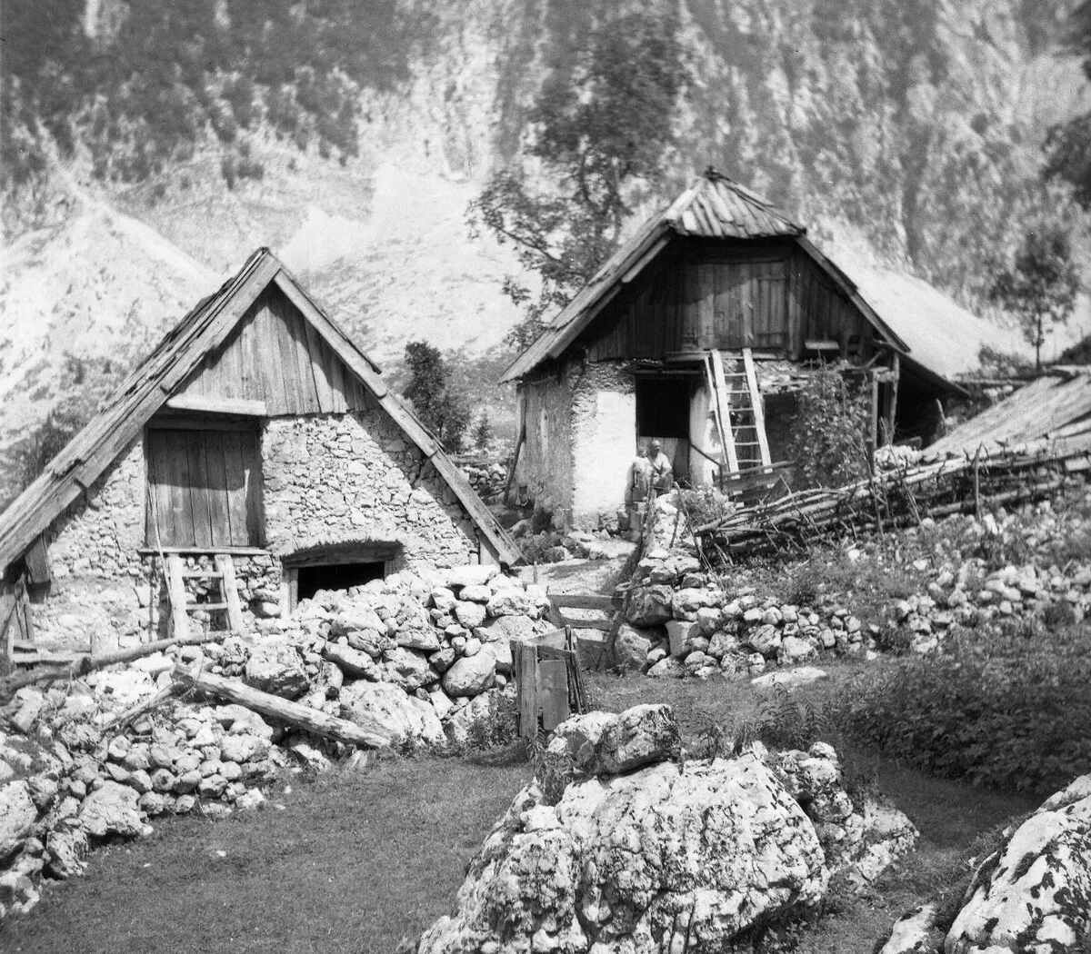 Bavšica in 1952.