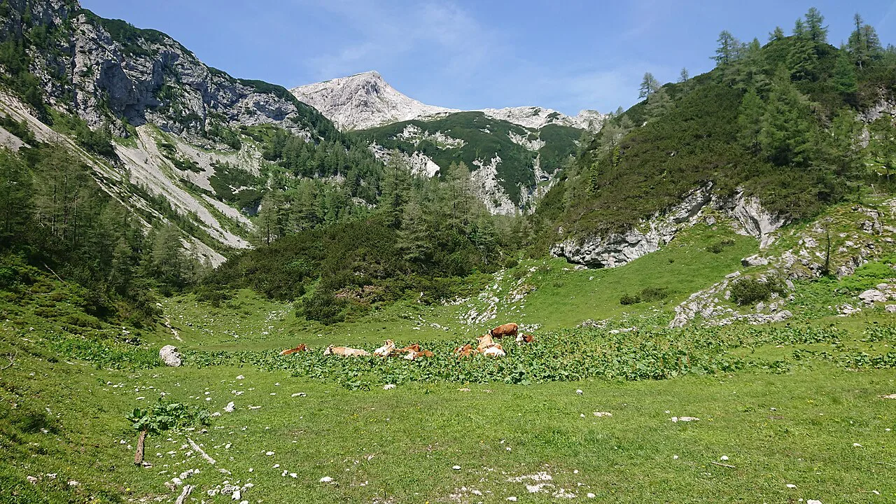 The Planina Jezerce pasture near Stara Fužina.