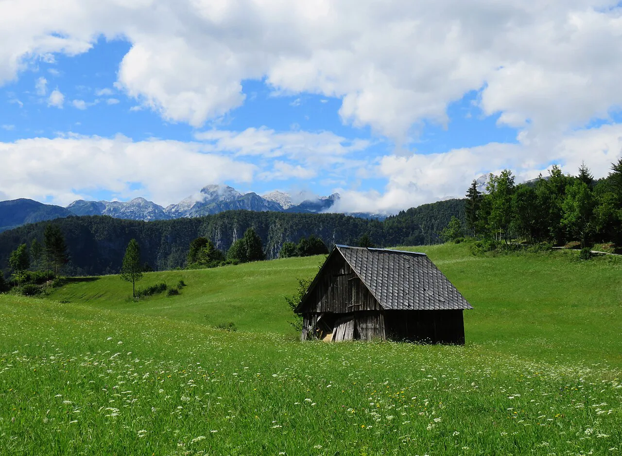 A pasture above Bohinjska Bistrica.