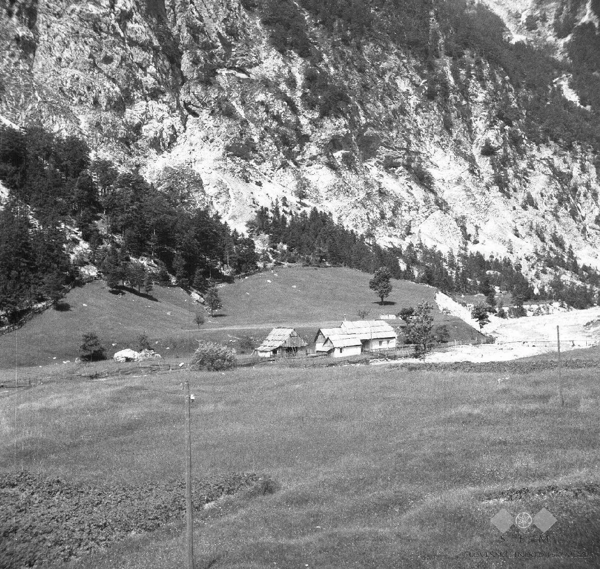 Trenta in 1952.
