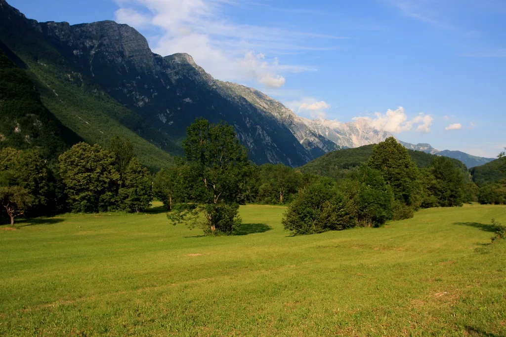 Meadows near Bovec below the Julian Alps.