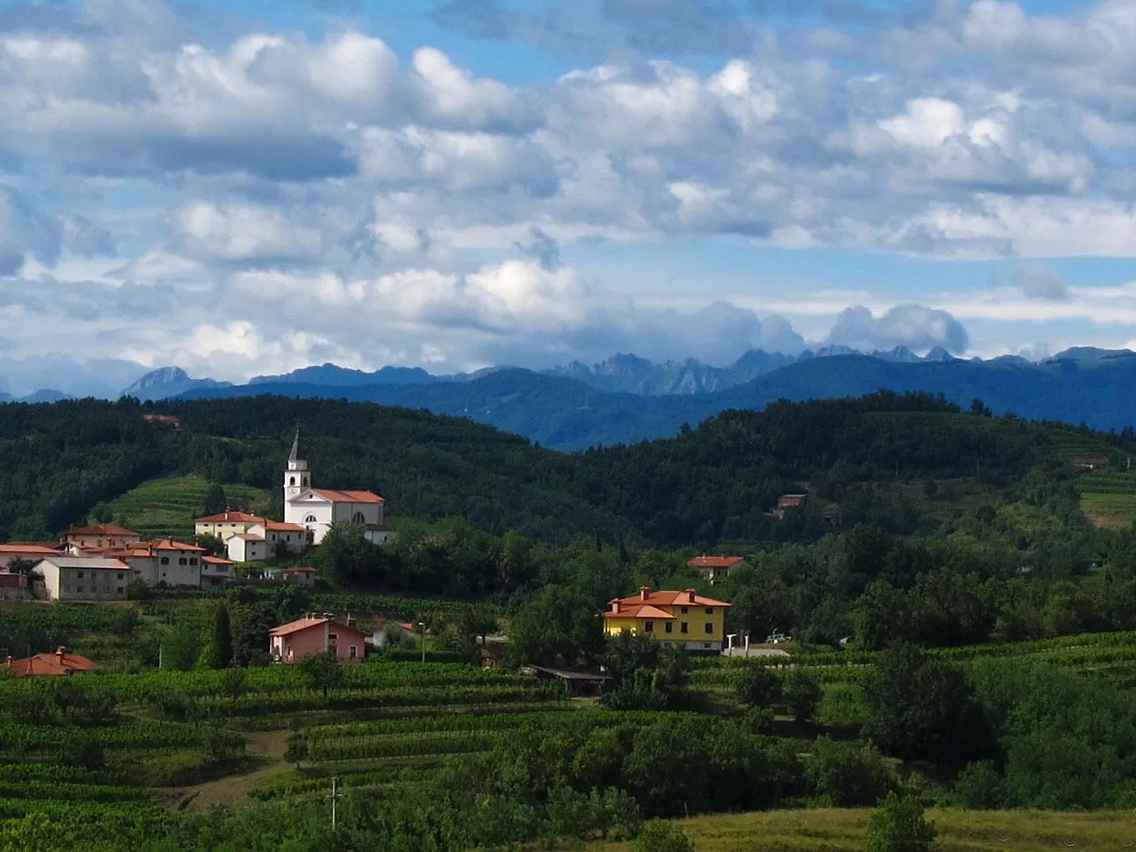 Goriška Brda vineyards below the Julian Alps.