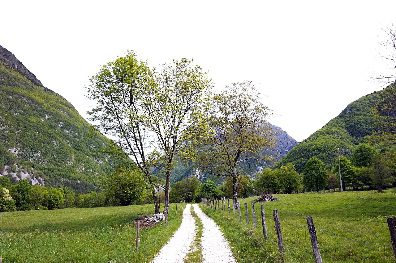 The road through Kal-Koritnica.