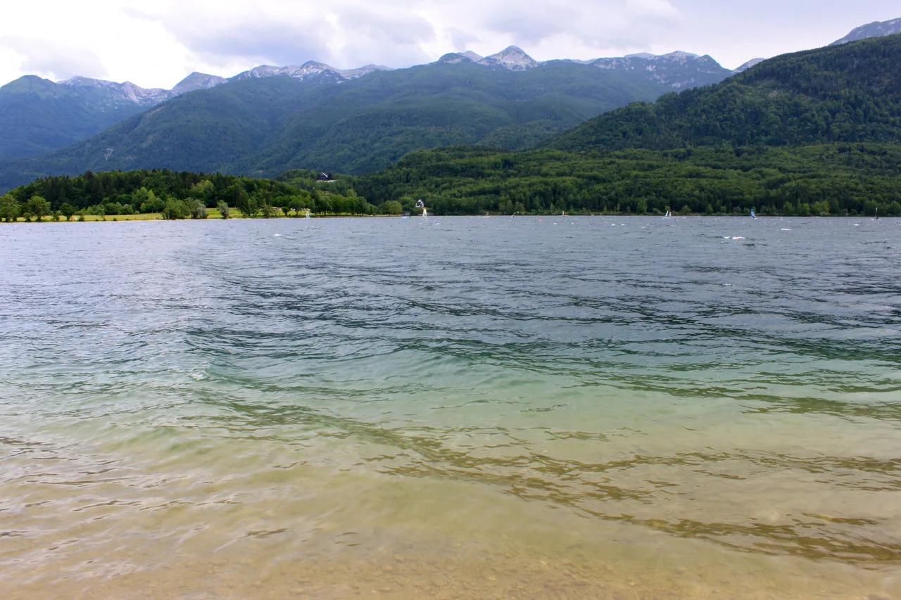 The shallow edge of Lake Bohinj.
