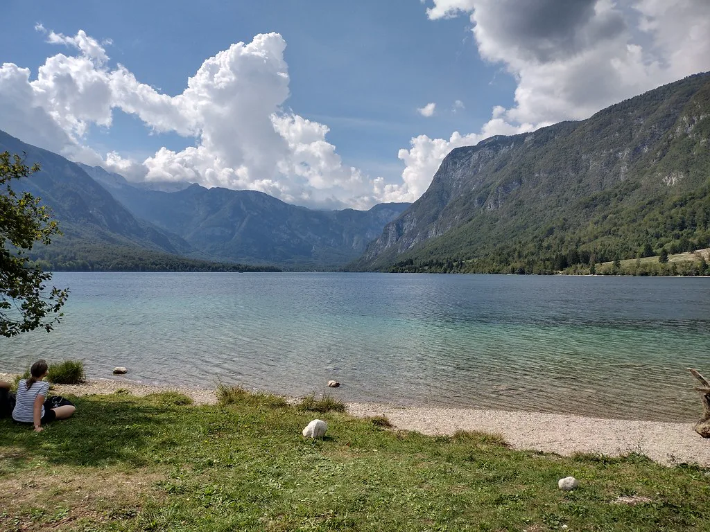 The shore of Lake Bohinj.