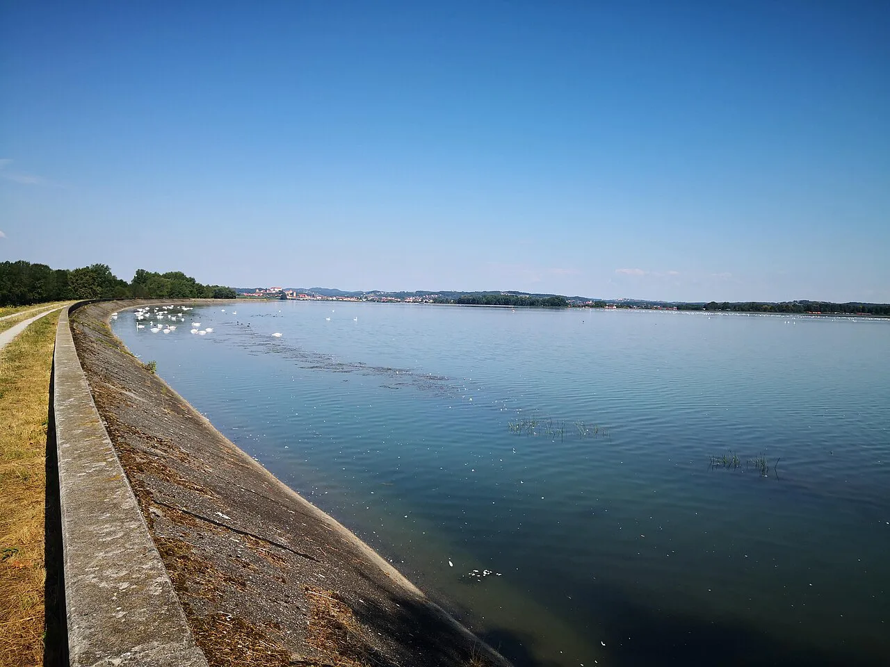 Lake Ptuj from its embankment.