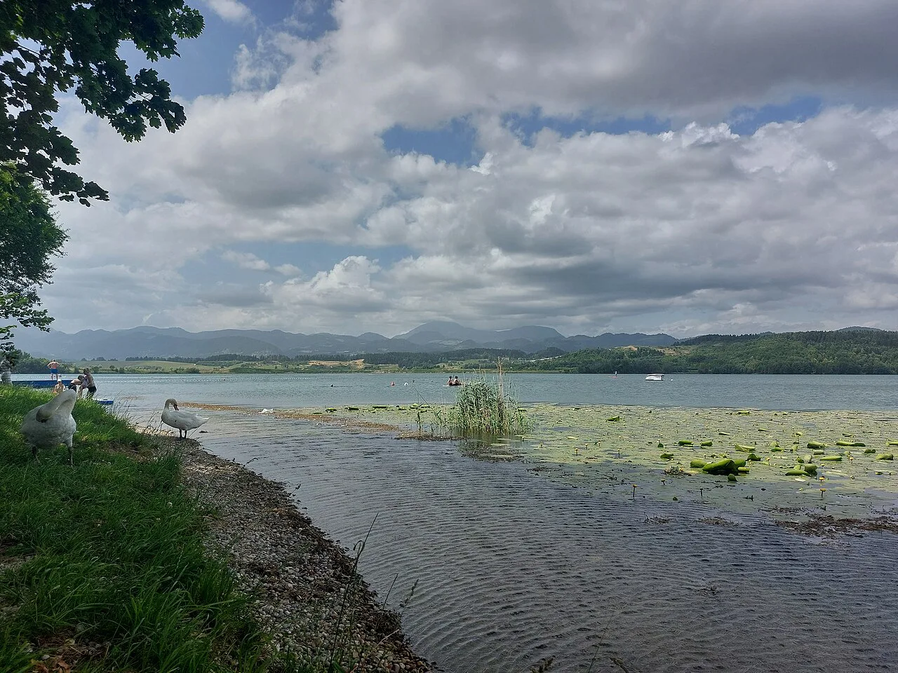 The shore of Lake Velenje.