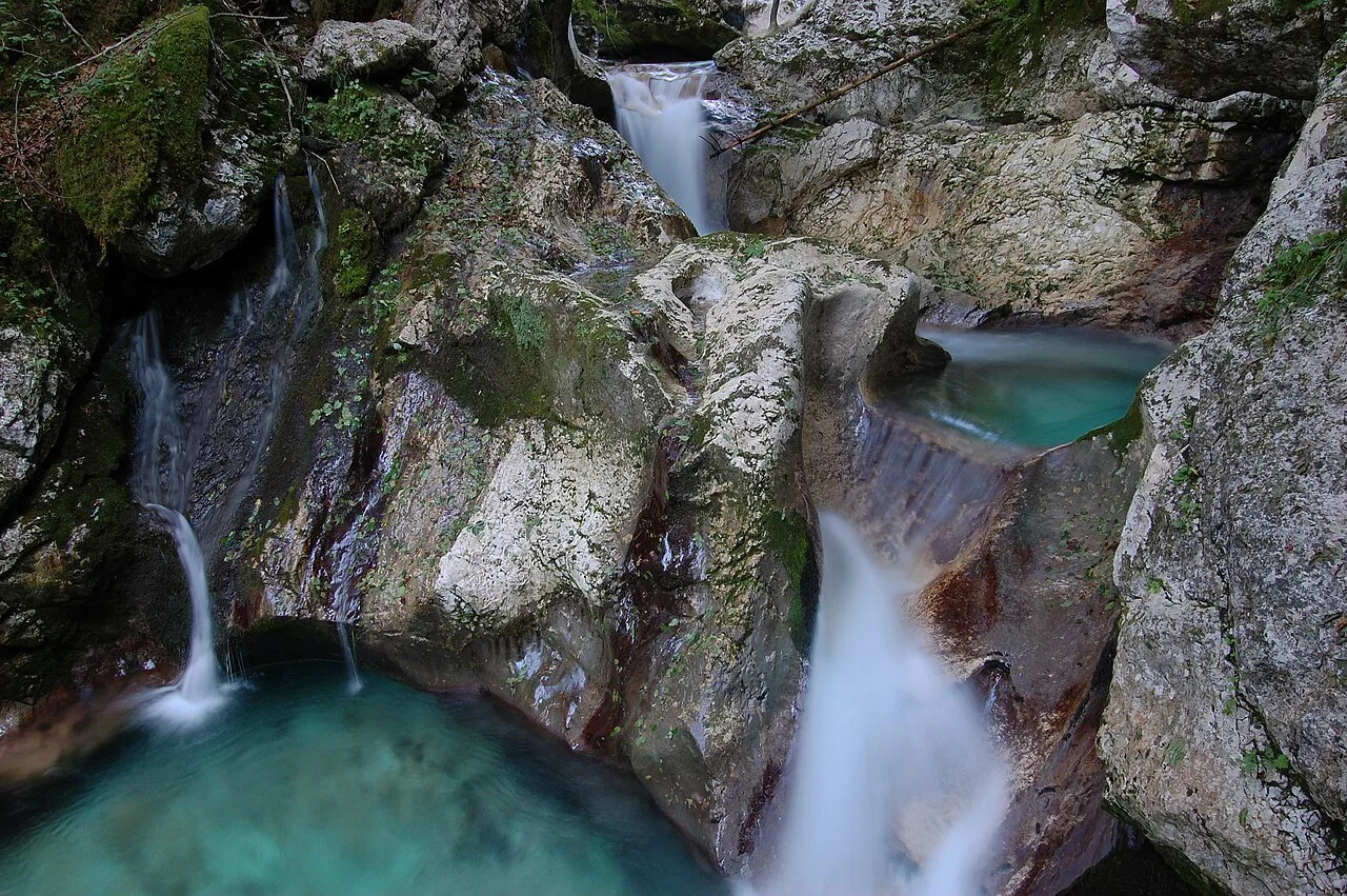 The Šunik water grove in Lepena.