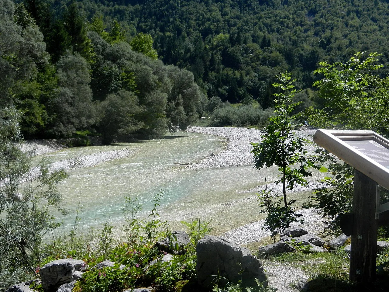The Soča at Lepena.