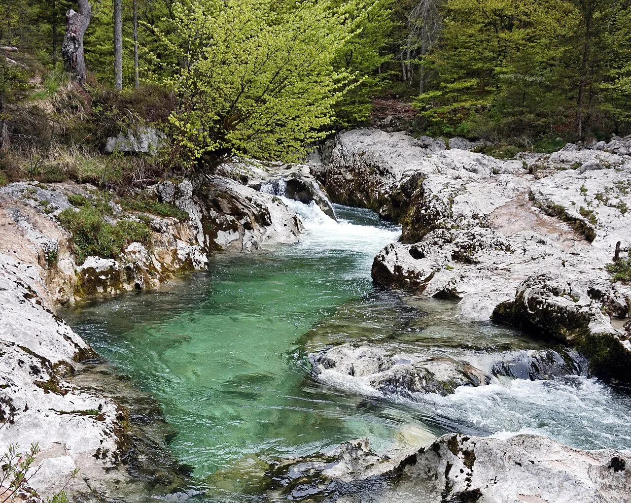Pools in the Mostnica gorge.