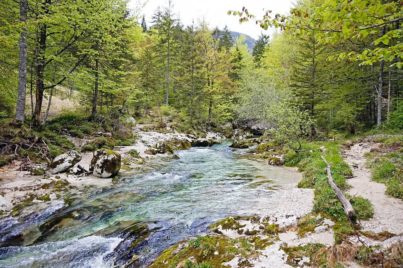 The Mostnica stream.