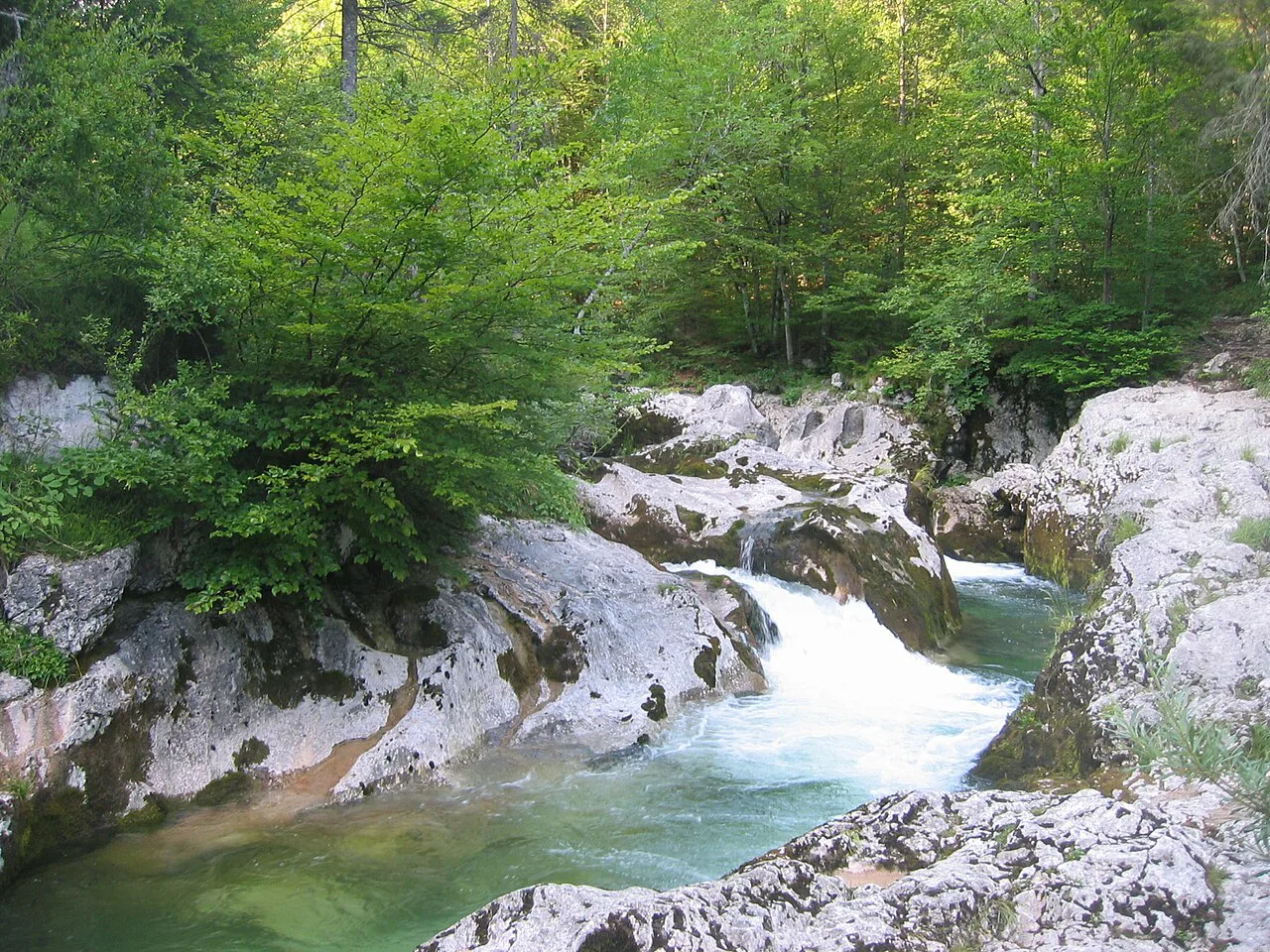 The Mostnica stream at Voje.
