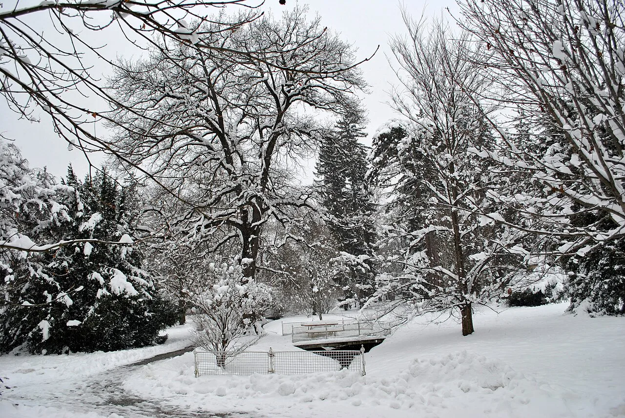 Maribor City Park in the snow.
