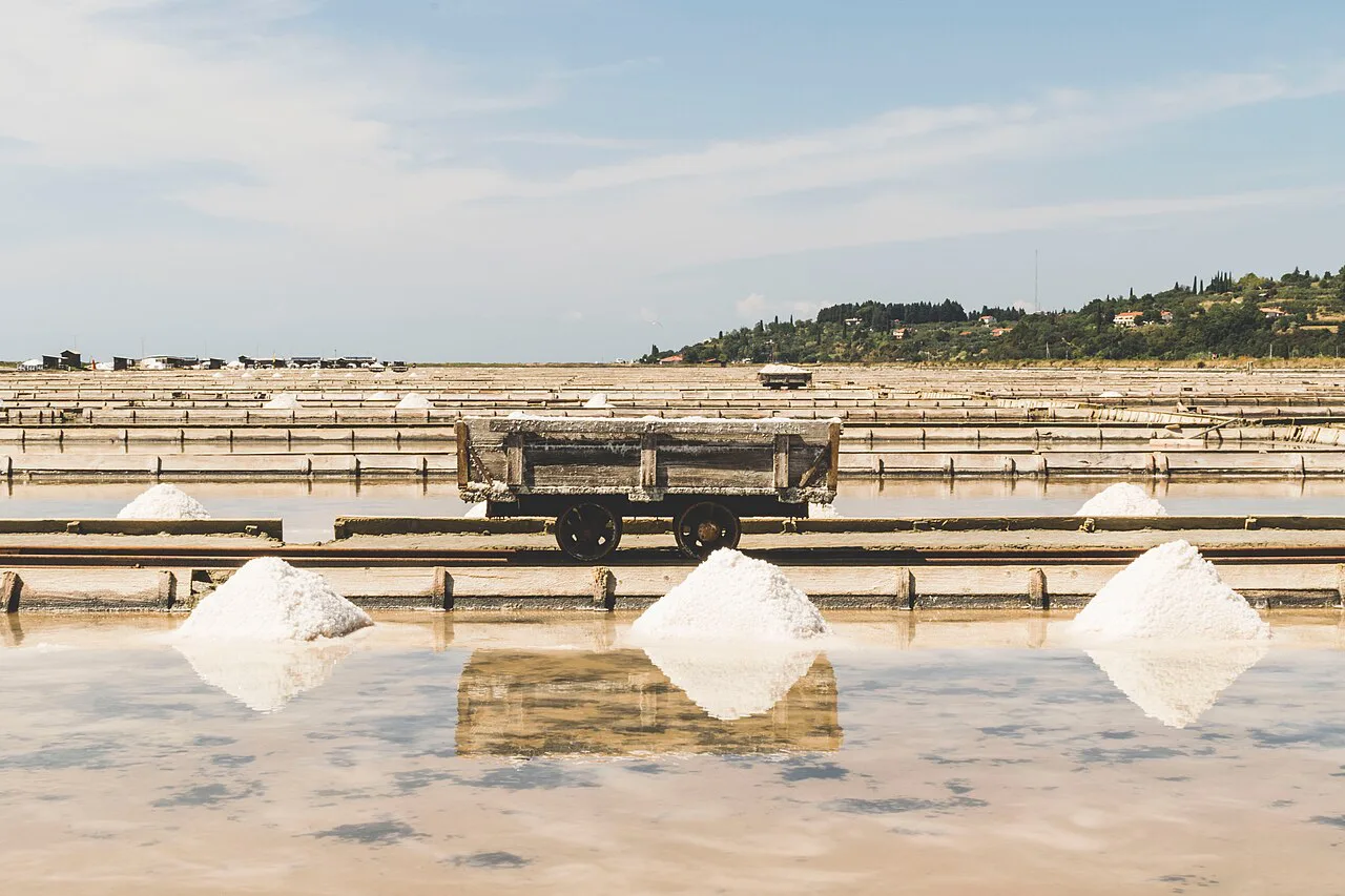 Salt heaps on the Sečovlje salt pans.