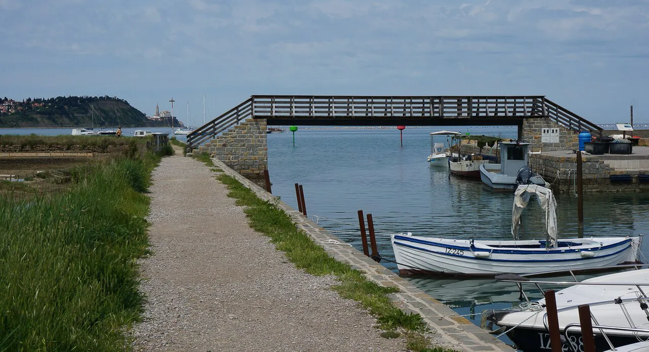 The pier at Strunjan near Piran.