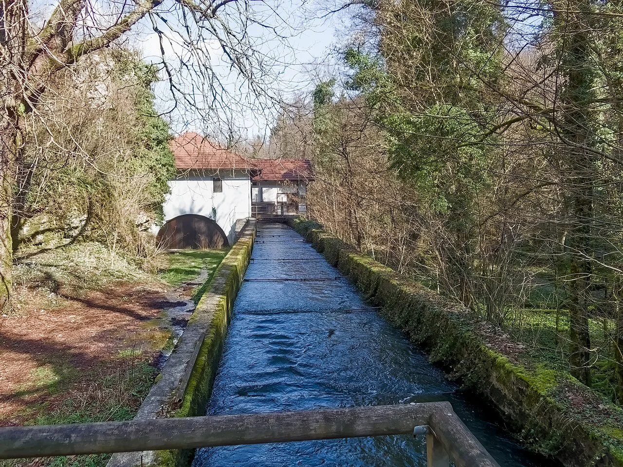 A channel carrying water from Planina Cave.