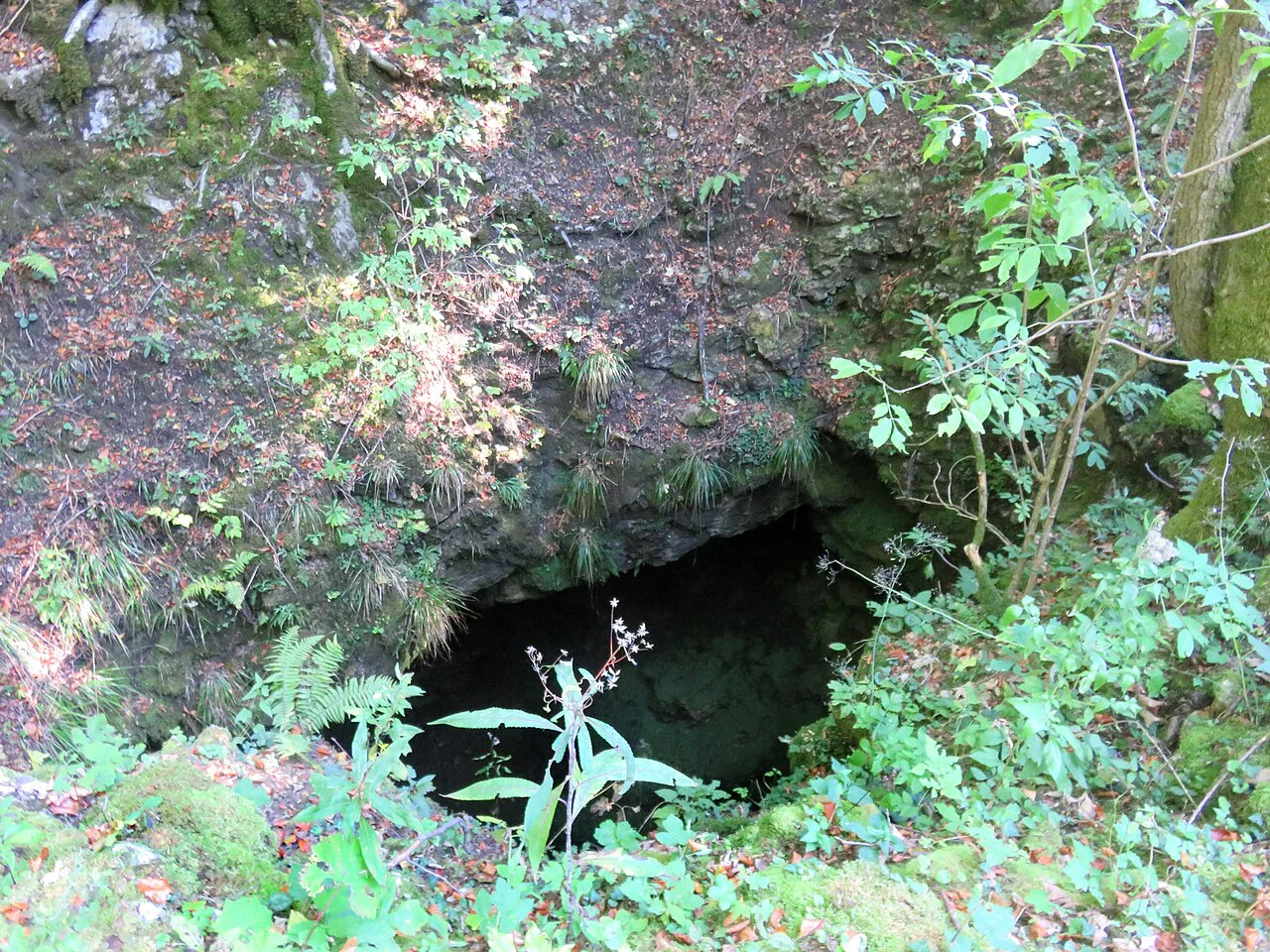 The entrance to Liplje cave near Planina, a nearby cave.