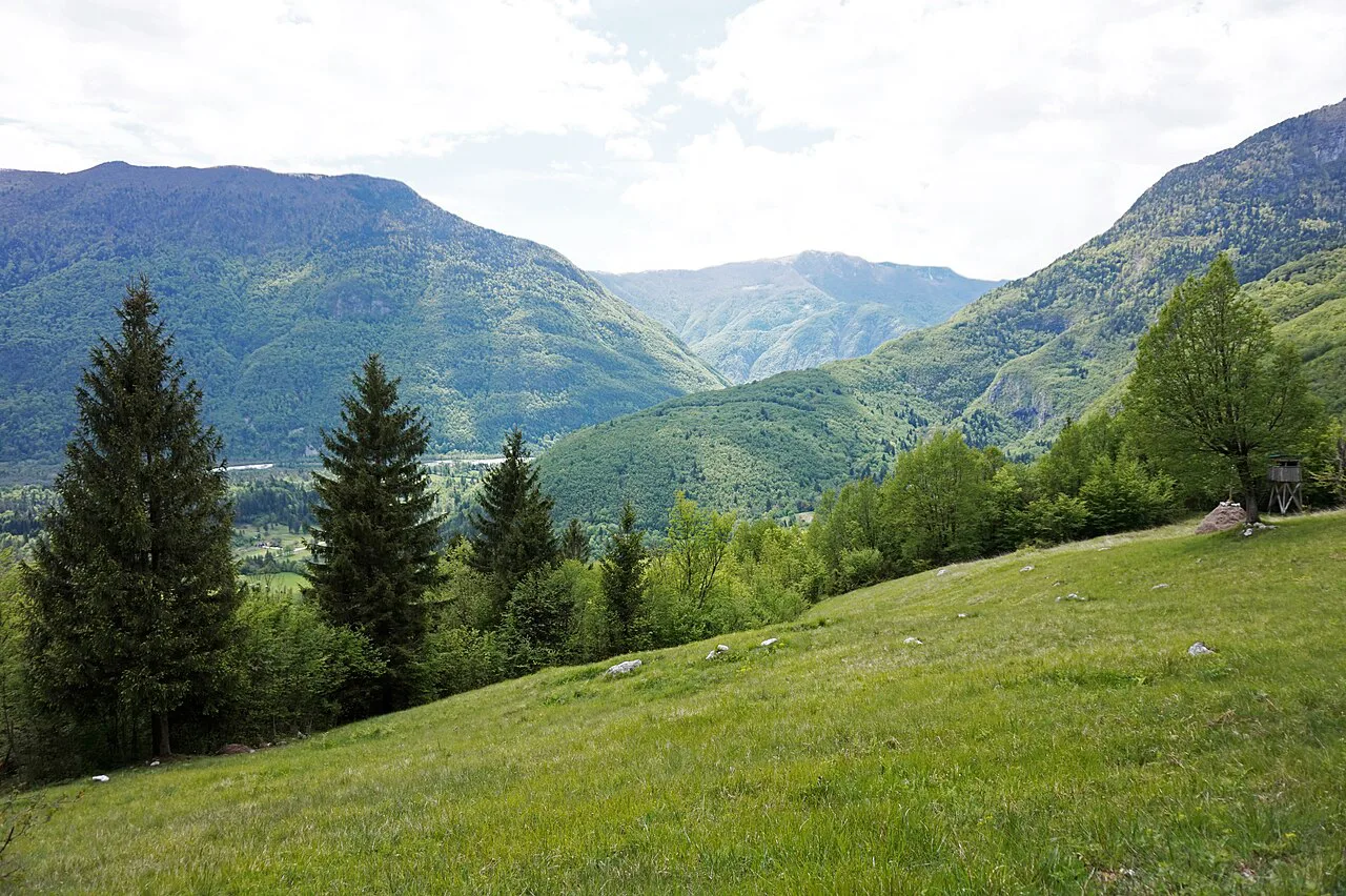 Meadows and mountains around Plužna.