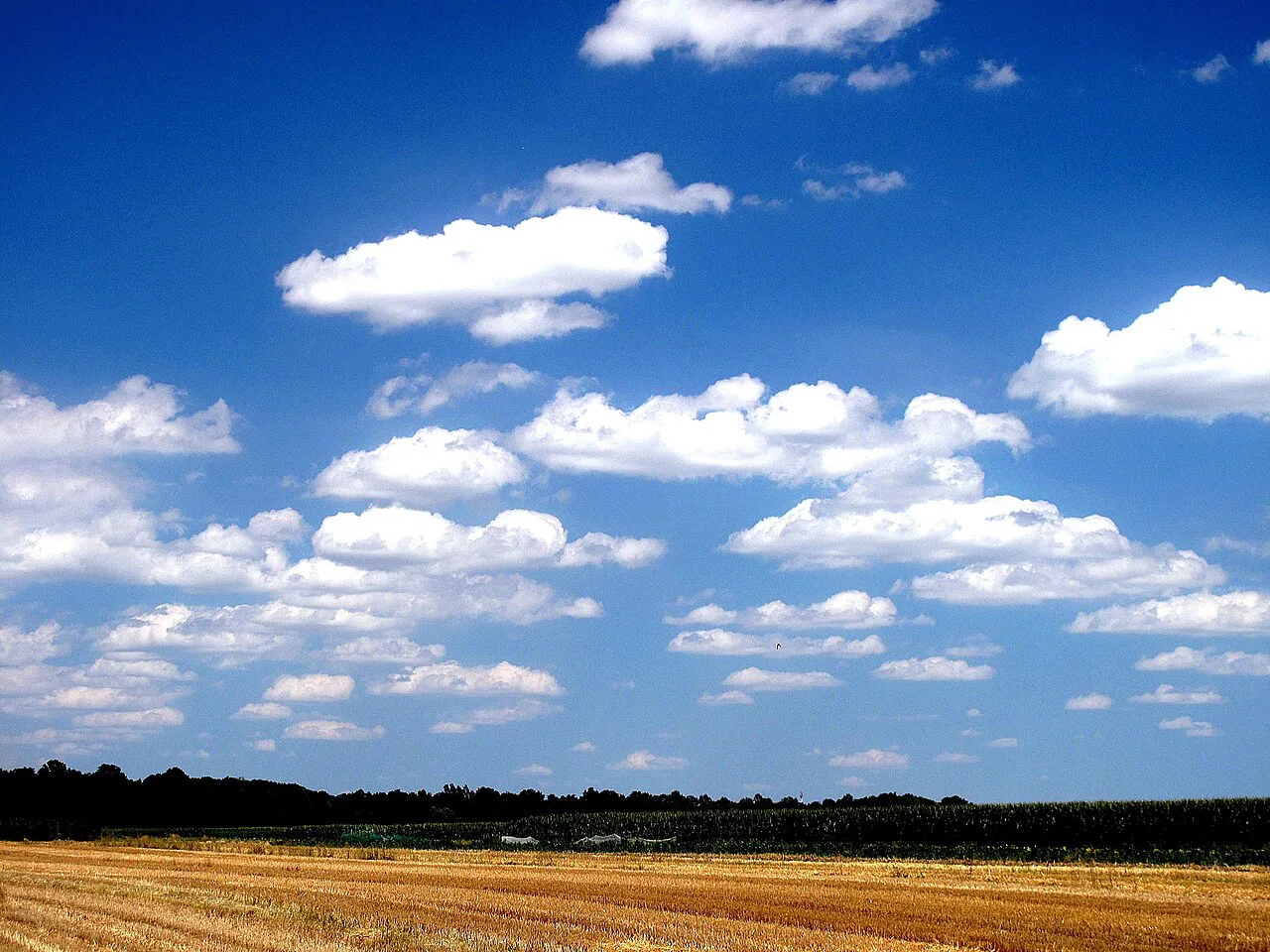 Fields of the Prekmurje plain near Odranci.