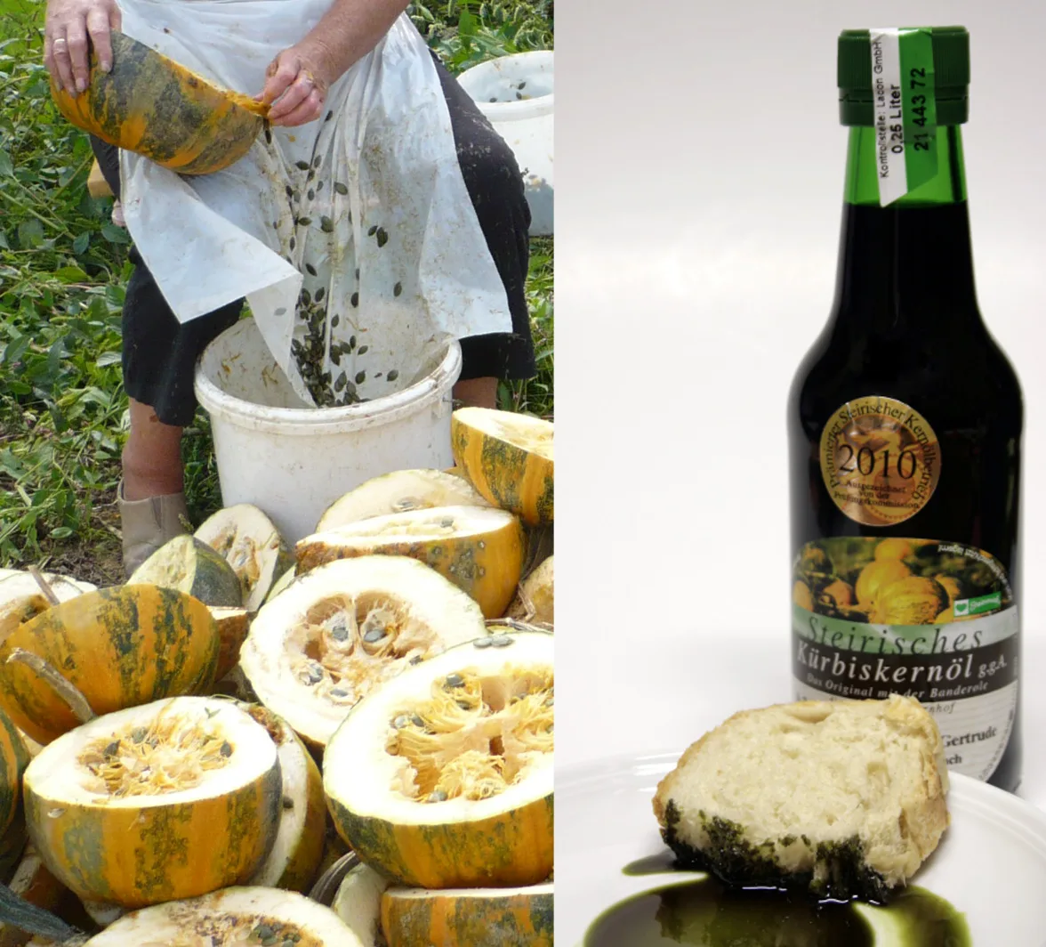 Styrian hull-less pumpkins and a bottle of pumpkin seed oil.