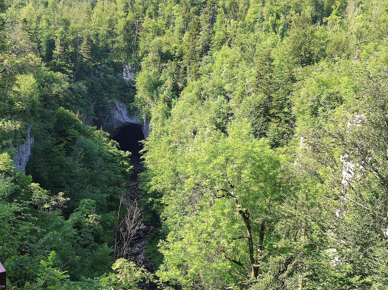 A collapse doline in Rakov Škocjan.