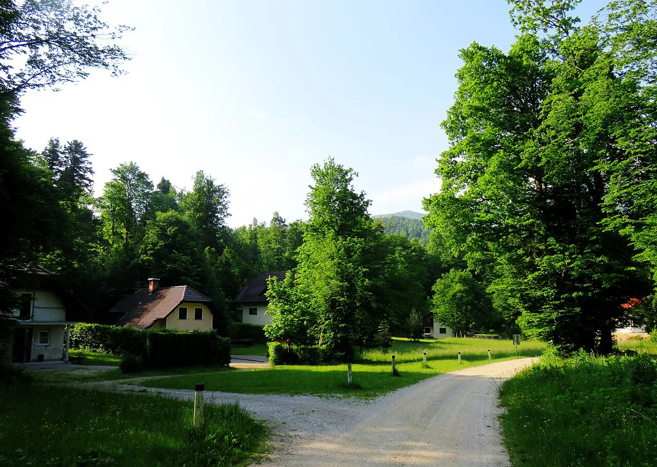 A path through Rakov Škocjan.