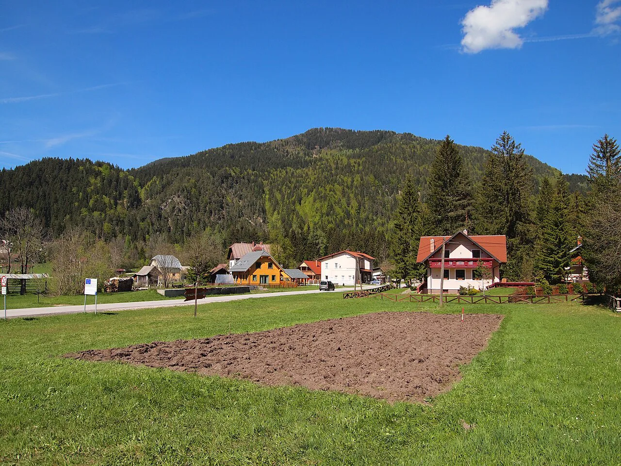 Fields at Rateče.