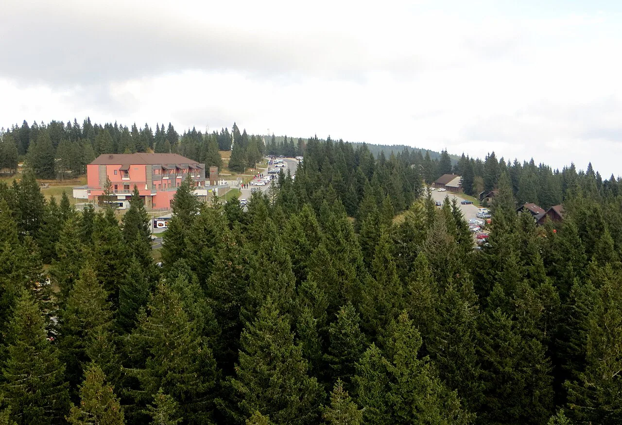 The forests and buildings at Rogla.