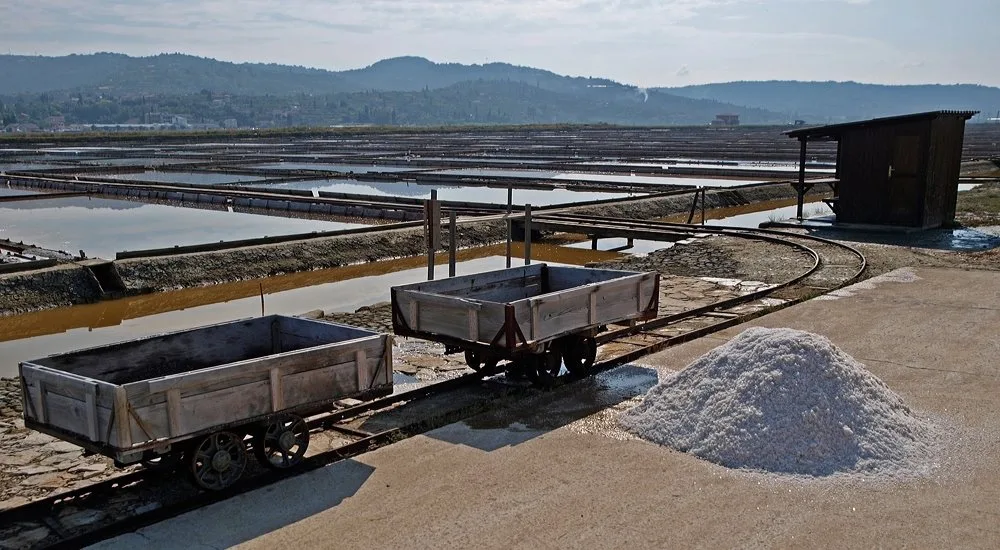 Salt carts on the Sečovlje salt pans.