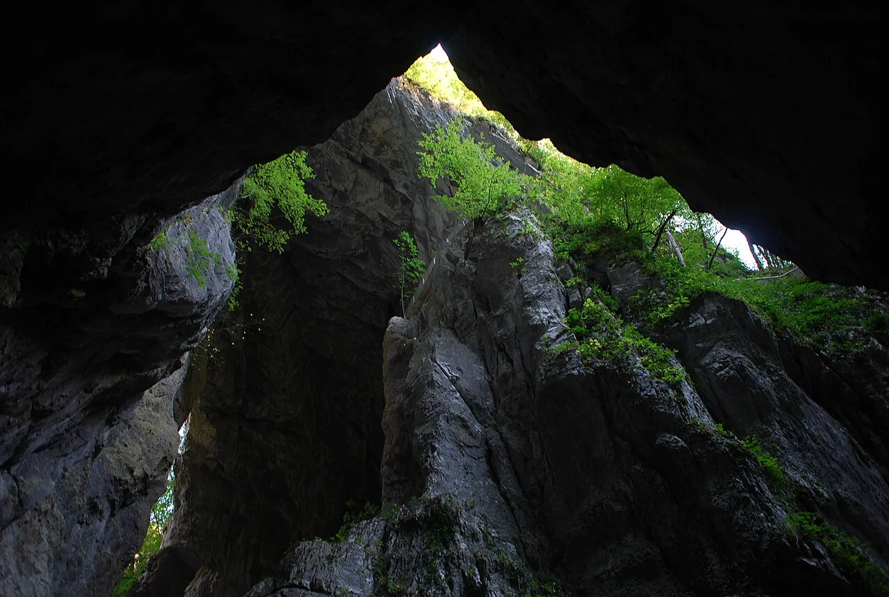 The collapse doline above the Škocjan Caves.