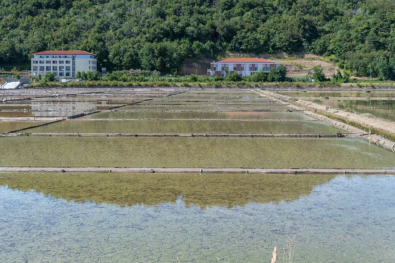 The salt pans at Strunjan.