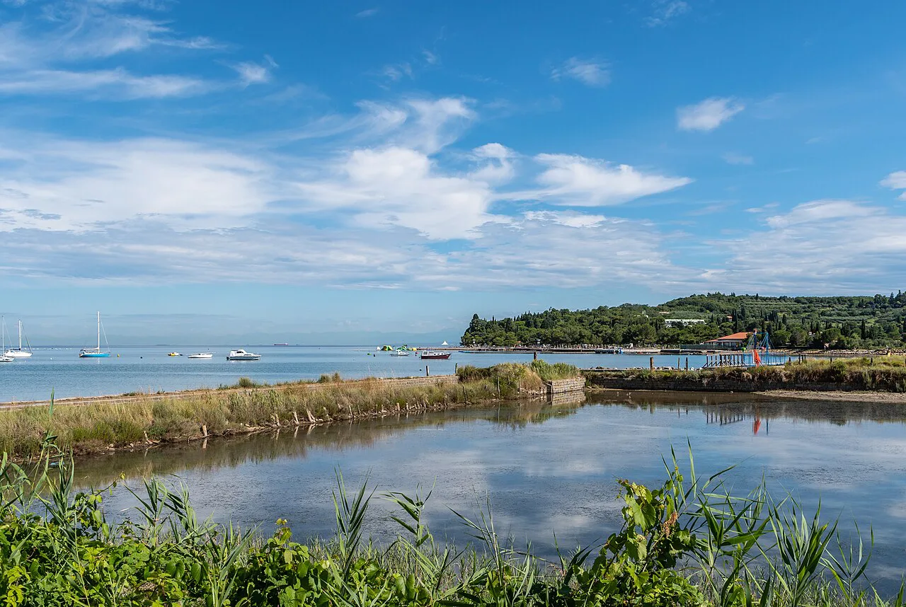 Strunjan bay and its salt pans.